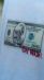 Majica RICH Dollar Goat