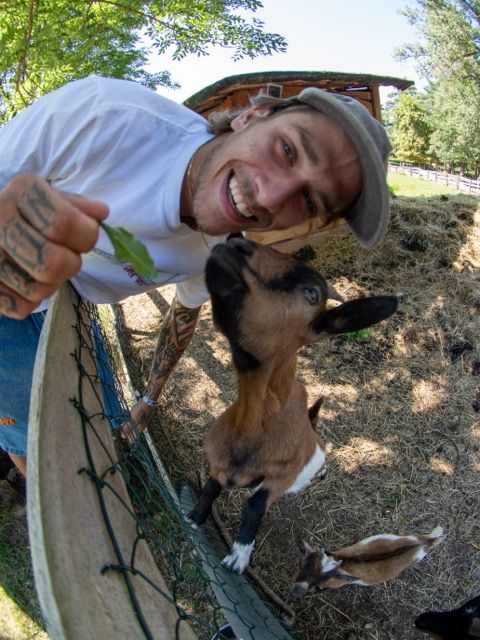Majica RICH Dollar Goat
