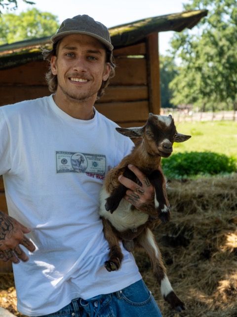 Majica RICH Dollar Goat