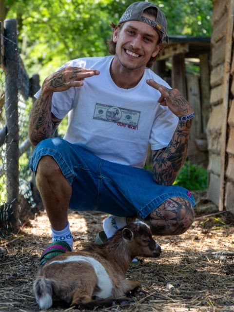 Majica RICH Dollar Goat